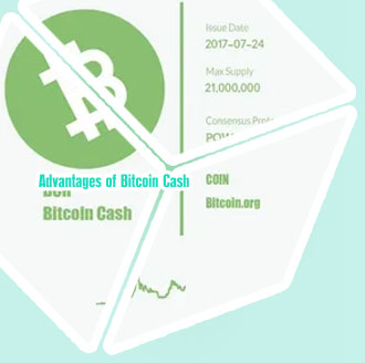 Does bitcoin cash have a future