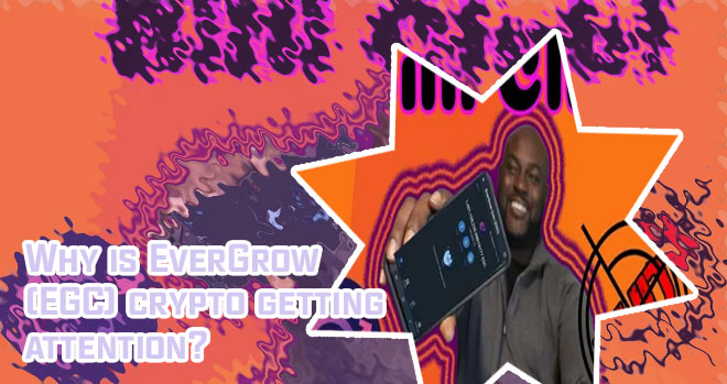Evergrow crypto price